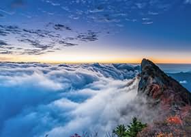 天干地支全解：十天干特性与十二地支本义