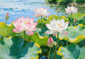 黄陂夏荷